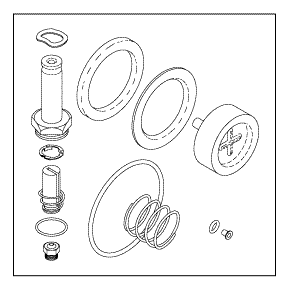 AMSCO/STERIS® REPLACEMENT SOLENOID VALVE REPAIR KIT FOR 1” PORT VALVES