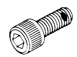 AMSCO/STERIS® REPLACEMENT 1/4-28 SOCKET HEAD CAP SCREW W/ NYLON PELLET