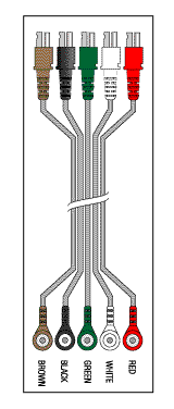 INVIVO RESEARCH REPLACEMENT 5 LEADWIRE SET DISPOSABLE 30" DUAL/SNAP