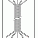 ELECTRODYNE/BECTON DICKINSON/DATAMEDIX/PPG REPLACEMENT 5 LEADWIRE SET DISPOSABLE 30" DUAL/PINCH