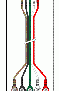 MTM REPLACEMENT 5 LEADWIRE SET - 24" DIN/SNAP