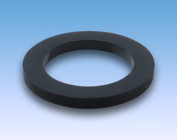 STERIS® REPLACEMENT DRAIN PLUG GASKET